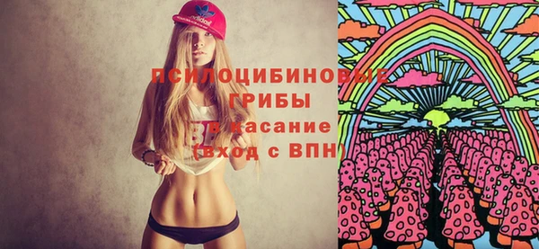первитин Белокуриха