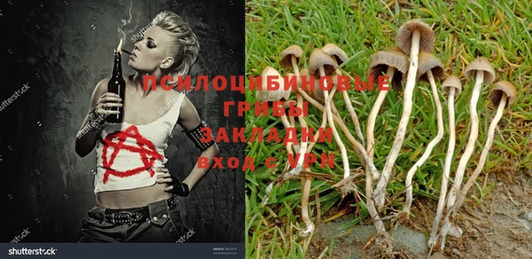 прущая мука Белоозёрский