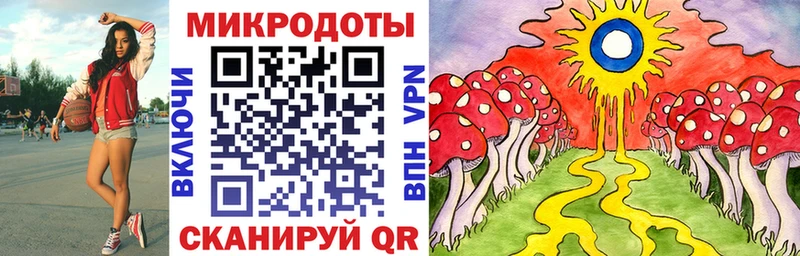 Галлюциногенные грибы мицелий  купить   Гай 